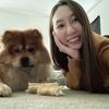 gojibear